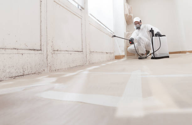 24/7 Emergency Attic Mold Remediation experts in Annapolis Junction, MD